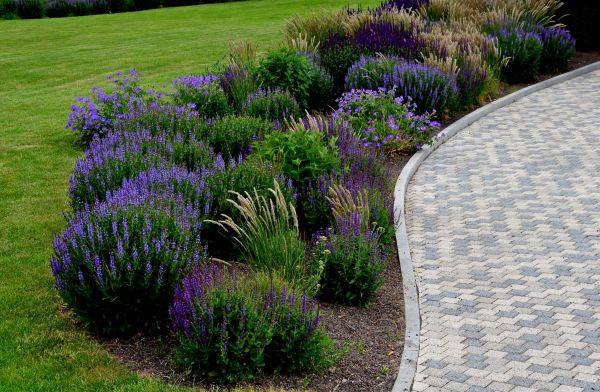 Sidewalk Curb Installation in Fairhope