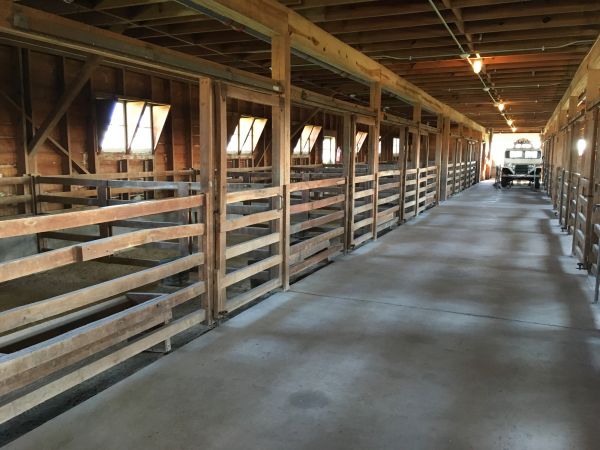 Barn Slab Construction in Fairhope