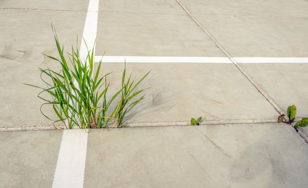 Concrete Parking Installation in Fairhope